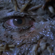 Image for article titled Friday The 13th Movies, Ranked